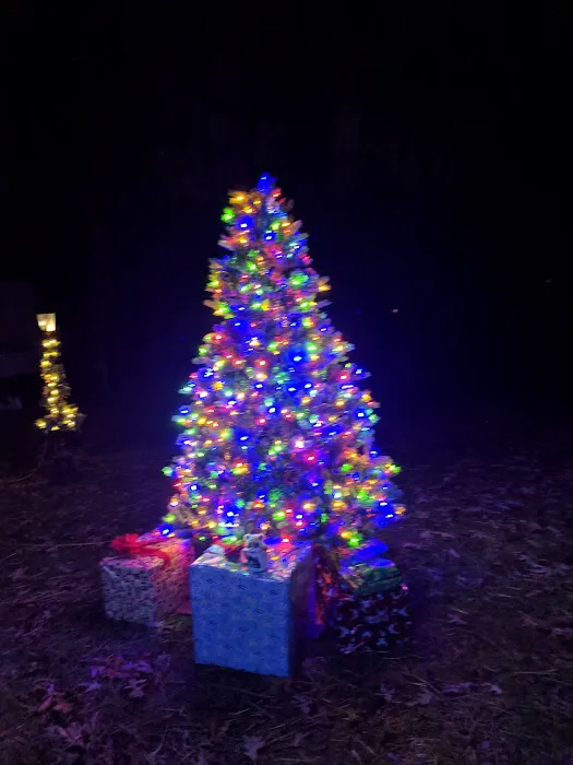 Dixieland Campground 7