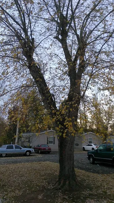 Ashwood Village 2