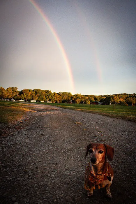 Cedar Lake Campground 1