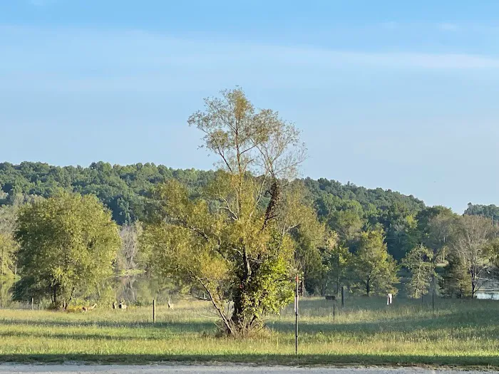 Cedar Lake Campground 3
