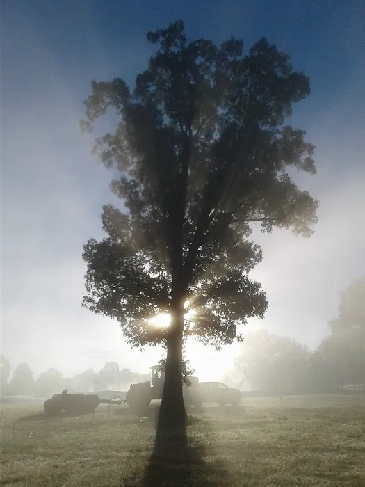 Shawnee Forest Campground 1
