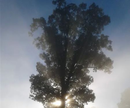 Shawnee Forest Campground