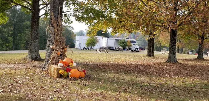 Shawnee Forest Campground 10