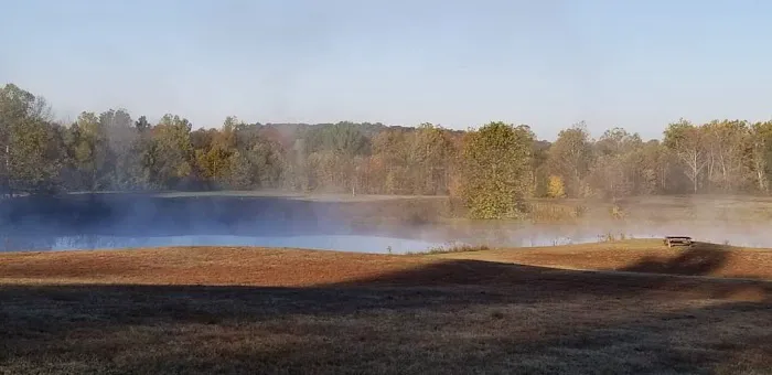 Shawnee Forest Campground 4