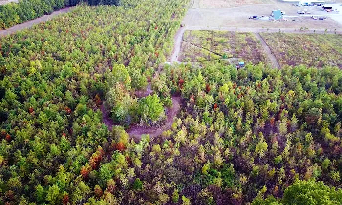 Paducah RV Park & Campground 2
