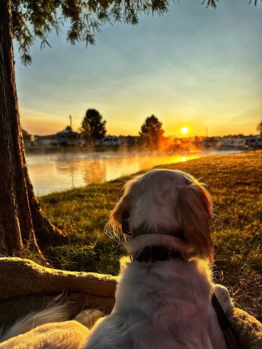 Paducah RV Park & Campground 6
