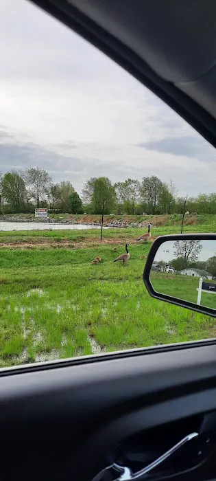 Westridge Pointe Mobile Home Park 3