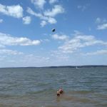 Birmingham Point Campground