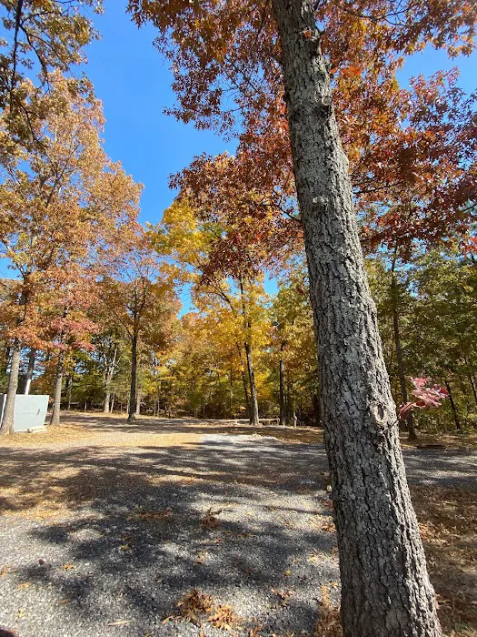 Sizzlin Sisters Campground 4