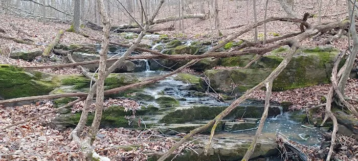 Buck Ridge Campground 6
