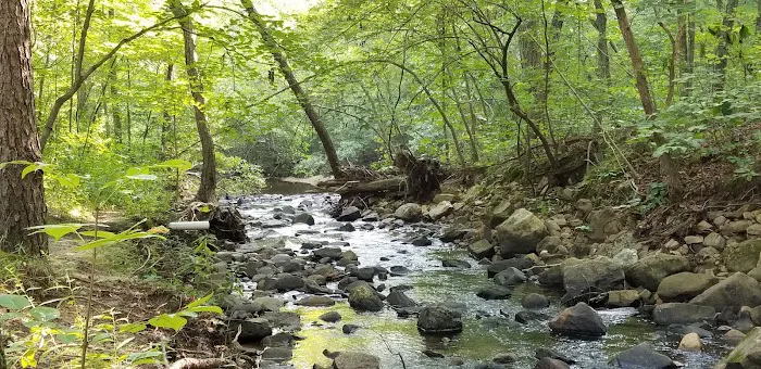 Hawn State Park Campground 2