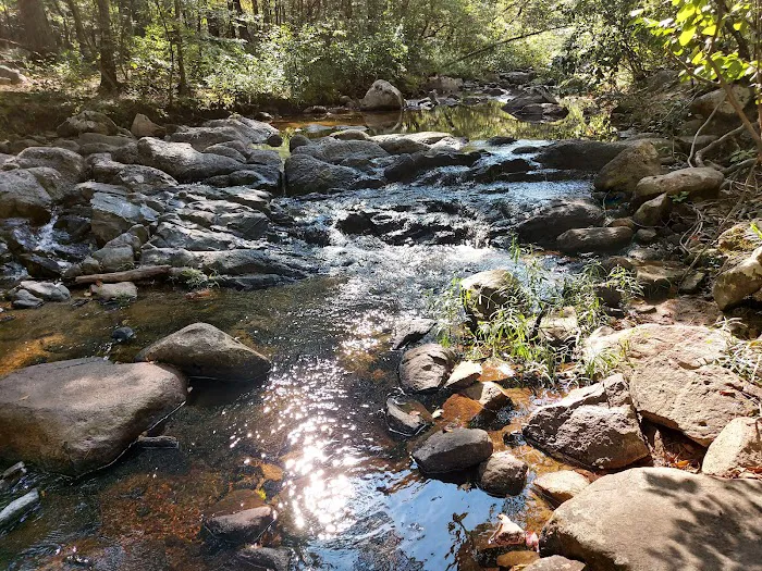 Hawn State Park Campground 4