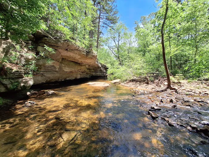 Hawn State Park Campground 3