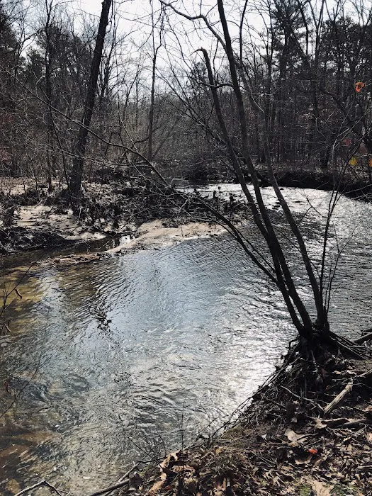 Hawn State Park Campground 7