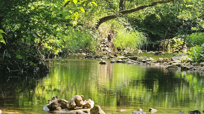 St. Francois State Park Campground 5