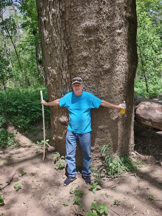 St. Francois State Park Campground 8