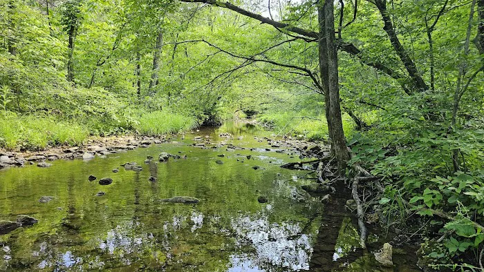 St. Francois State Park Campground 10