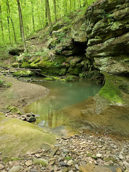 Sharp Rock Falls Rec Inc 8
