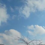 Johnson Creek Recreation Area