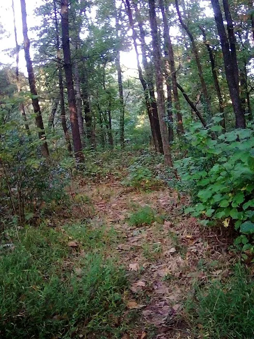 Johnson Creek Recreation Area 4