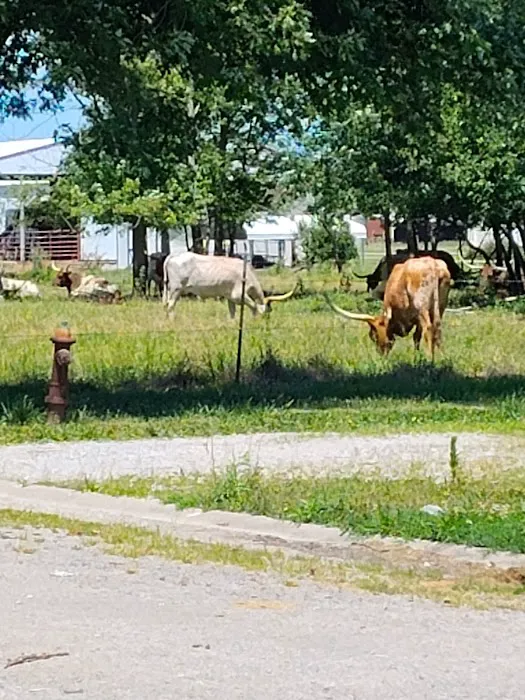 Crossroads Mobile Home Park 5