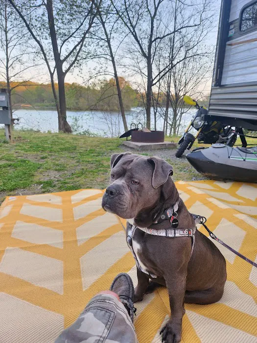 Lake Murphysboro Campground 4