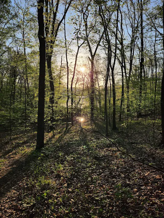 Lake Murphysboro Campground 3