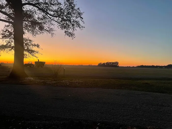 Hushed Sunset 1