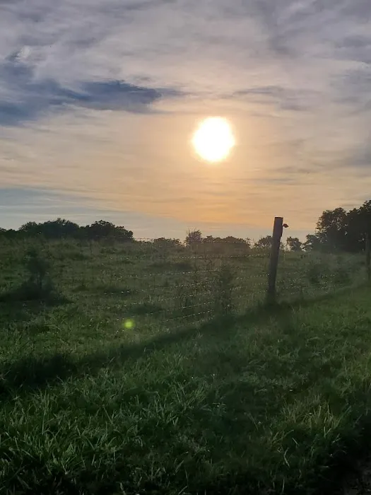 Turkey Hill Homestead 6