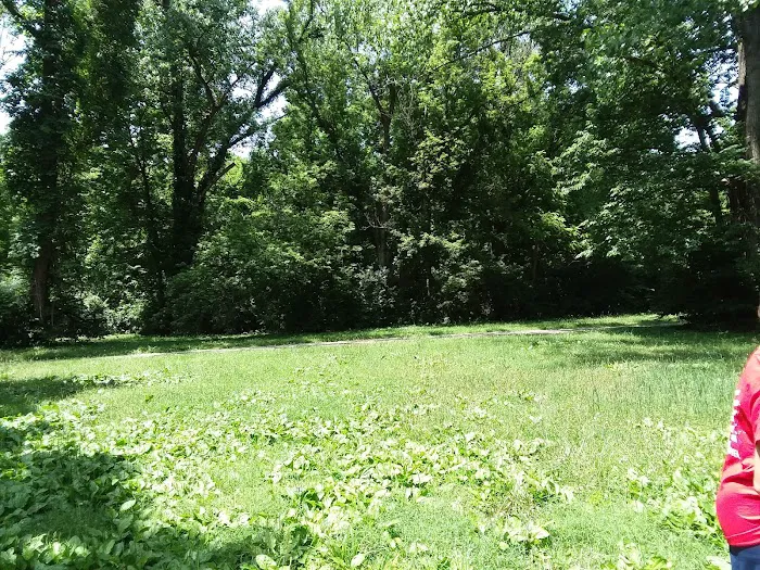 Wright Patterson Scout Camp 3