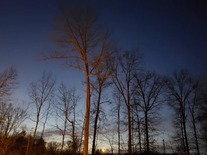 Vista Woods 2