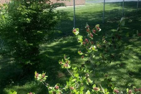 Fairborn Mobile Home Inc 55 +