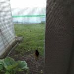 Country Haven Mobile Home Park