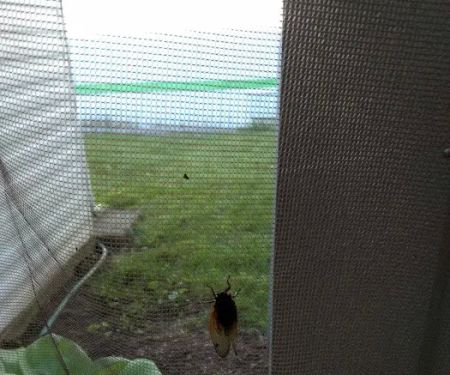 Country Haven Mobile Home Park