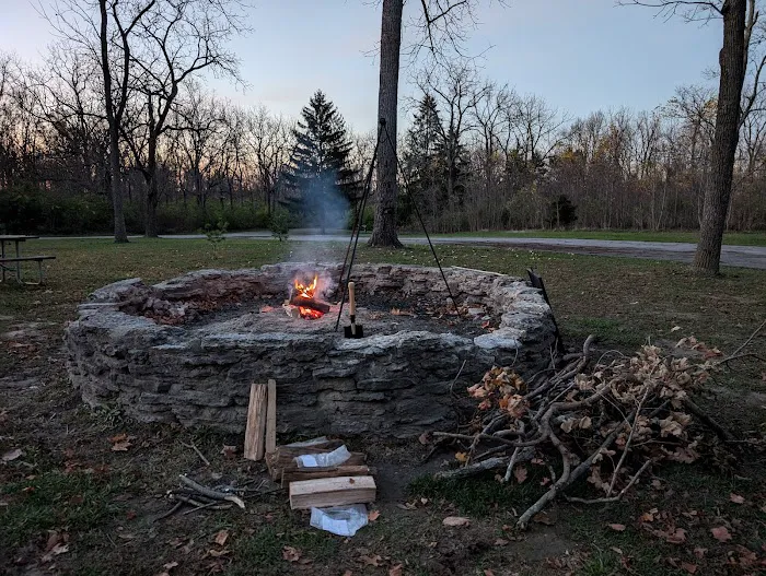 Pine Tree Group Camp 2
