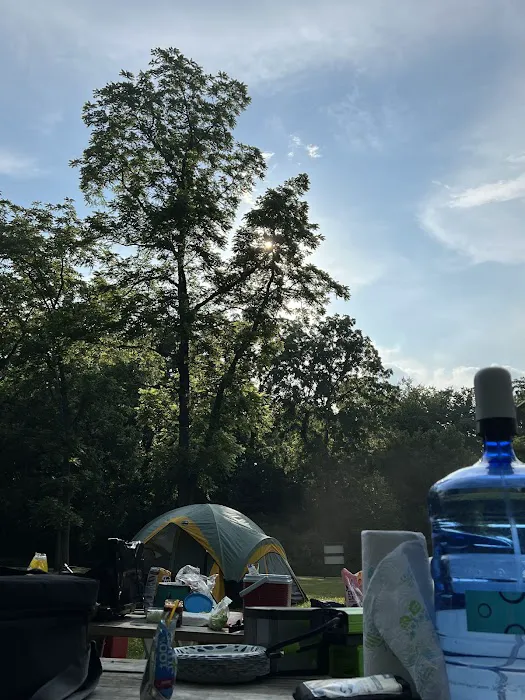 Pine Tree Group Camp 8