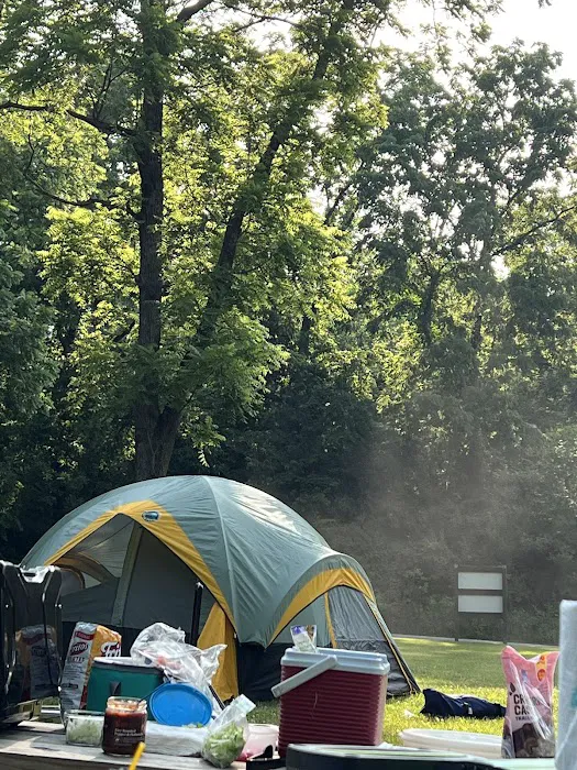Pine Tree Group Camp 9