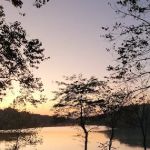 Stonelick Campground Office