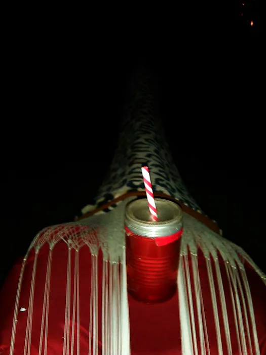 Kearny Park Campground 6