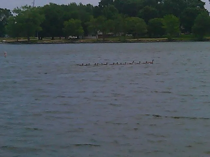 Kearny Park Campground 4