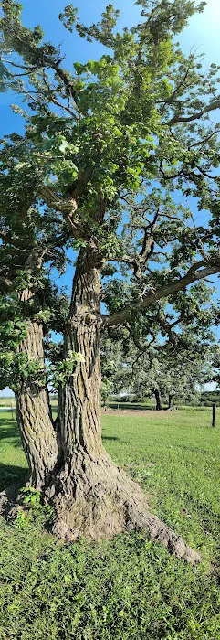 Whiterock Conservancy Oak Ridge Campground 10