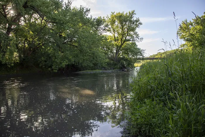 Whiterock Conservancy River Campground 8