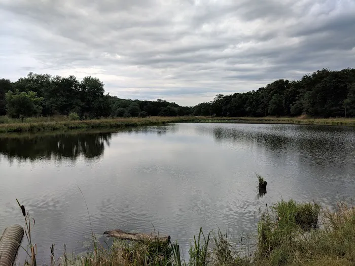 Whiterock Conservancy River Campground 7