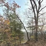 Whiterock Conservancy Star Field Campground