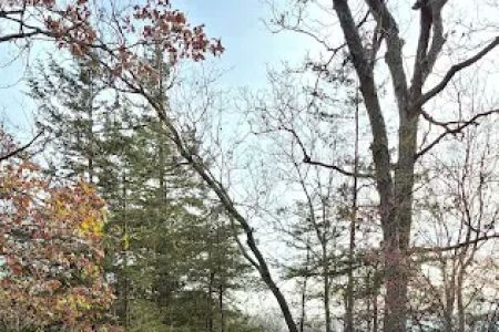 Whiterock Conservancy Star Field Campground