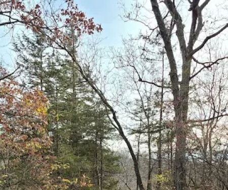 Whiterock Conservancy Star Field Campground
