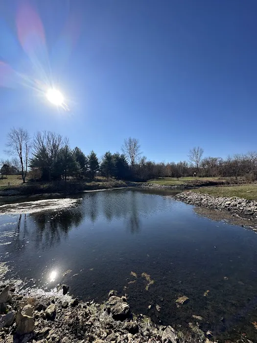 Littlefield Recreation Area Campground C 9