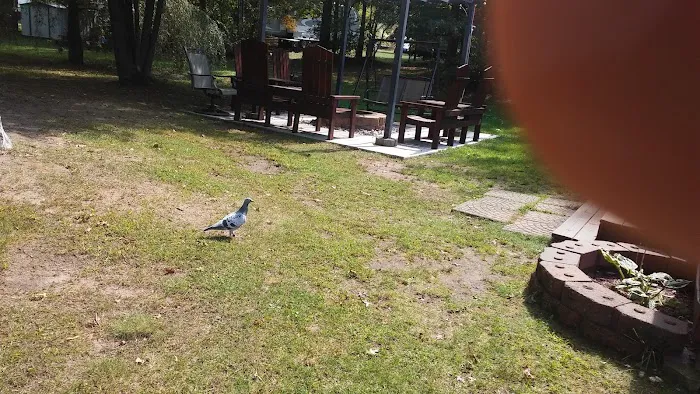 Lotts landing 8