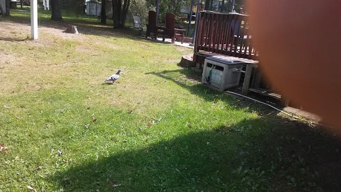 Lotts landing 5