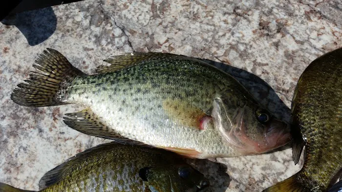 Pokegama Creek Campground 6